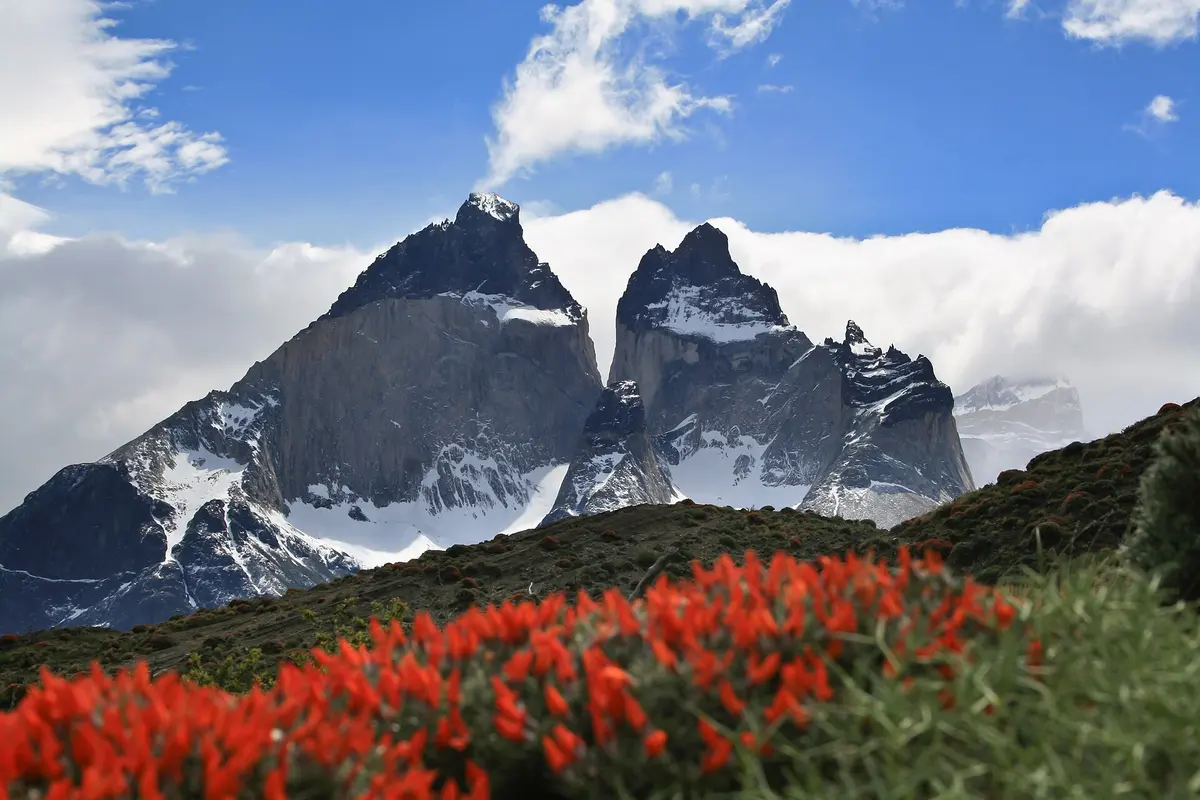 I Cuernos del Paine, due corni di granito scuro striati di neve, che si ergono dietro una cresta verde e arbusti rosso vivo sotto un cielo azzurro con nuvole